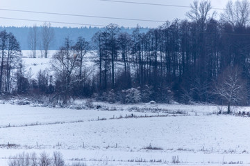 The snow covered the fields and meadows. Trees in the foreground and dark forest in the background....