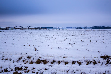 The snow covered the fields and meadows. Village and dairy farms in the background. The beginning...