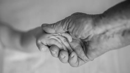 old grandmother hands holding newborn hands, fourth generation family life. black and white shot,...