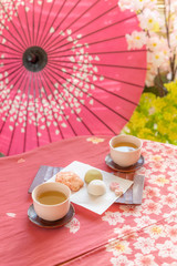 春の茶会 Spring Tea Party of Japan 