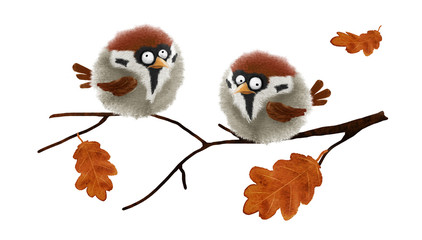 Two funny fluffy sparrows. Hand drawn watercolor - 242494138