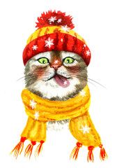 Cat in a yellow hat catching snowflakes. Hand drawn watercolor - 242494158