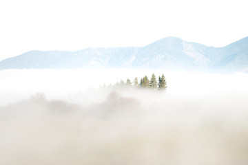 landscape covered in mist - 242495700
