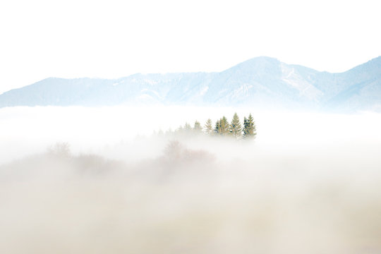 landscape covered in mist