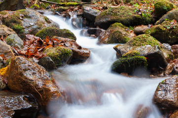 flowing water in the stream - 242495908