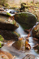 flowing water in the stream - 242495921