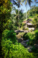 Bridge in Gunung Kawi temple, Ubud, Bali, Indonesia