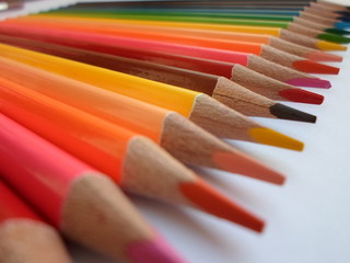Fototapeta premium Color Pencils Close Up