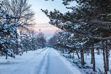 Walking path with snow in Erzurum during winter