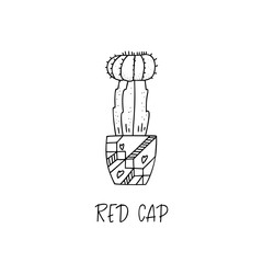 Red Cap cactus in decorative pot in doodle style with a handwritten title.
