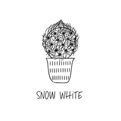 Snow White cactus in decorative pot in doodle style with a handwritten title.
