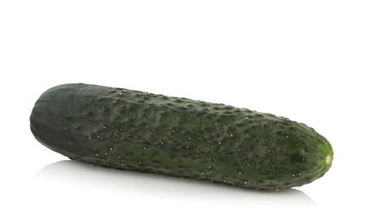 cucumber on white background