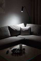 Grey corner couch with three pillows standing in bright living room interior with painting and carpet.Dramatic Lightning