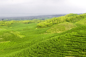 Landscape Gunung bagus, Wonosari, Yogyakarta, Indonesia