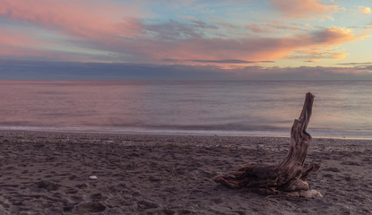 Nerja, Malaga, Andalusi, Spain - November 23, 2018: Old tree trunk stranded on a beach in a beautiful sunset