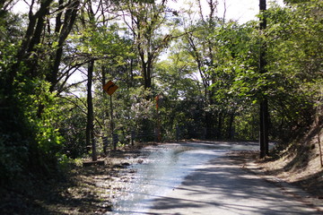 countryside in japan