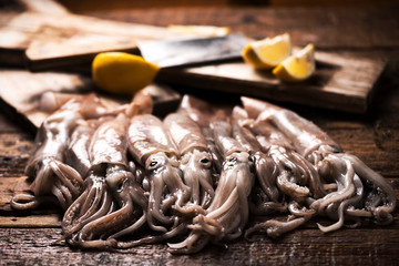 Fresh totani from mediterranean sea. Sicily Market