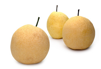 Chinese Pear , Pyrus pyrifloral,  on white background.
