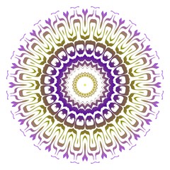 Modern Decorative floral color mandala. round Shapes. illustration.