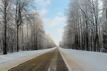 Obraz premium Road through winter forest
