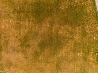Field from altitude
