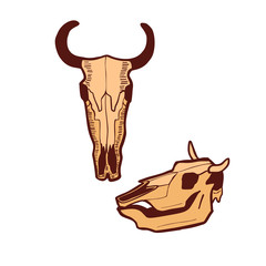 Cow Skull in Hand Drawn Style