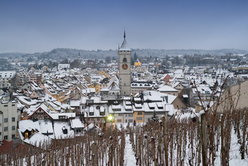 Schaffhasuen cityscape in winter with a vineyard in the foreground