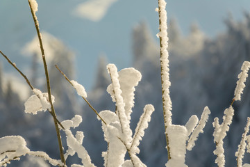 Fantastic winter mountain landscape glowing by sunlight