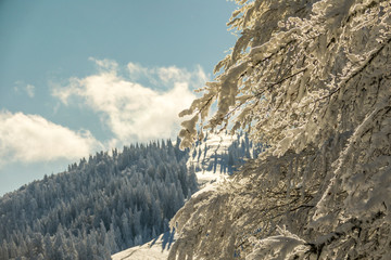 Fantastic winter mountain landscape glowing by sunlight