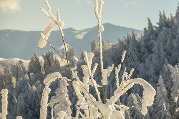 Fantastic winter mountain landscape glowing by sunlight