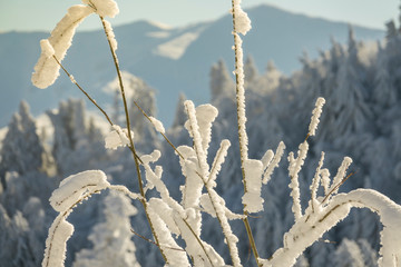 Fantastic winter mountain landscape glowing by sunlight
