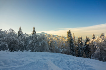 Fototapeta na wymiar Fantastic winter mountain landscape glowing by sunlight