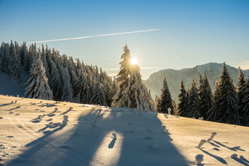 Fantastic winter mountain landscape glowing by sunlight