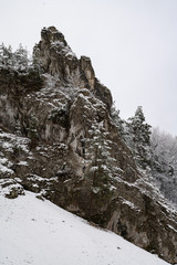 Snow-covered mountain park