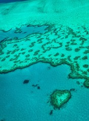 Fototapeta na wymiar Great Barrier reef