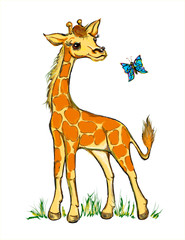 illustration of giraffe