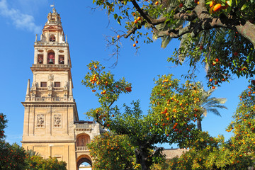 Fototapeta na wymiar Mosque Cathedral Mezquita of Córdoba, bell tower from the orange garden, Andalusia, Spain