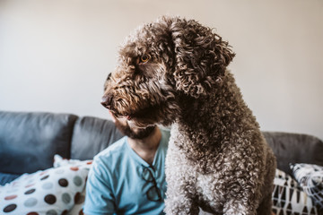 .Young and handsome boy sitting on the gray sofa in his house with his cute spanish water dog. Lifesytle.