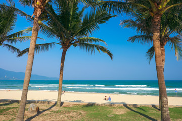 Coconut palm trees at the China Beach, DaNang, Vietnam.