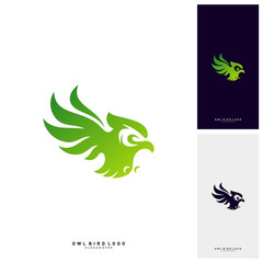 Owl Logo Design Template Vector. Bird logo Concept Vector