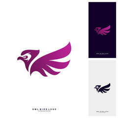 Owl Logo Design Template Vector. Bird logo Concept Vector
