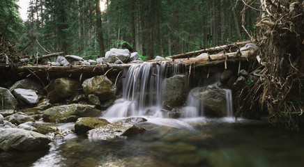 forest nature waterfall