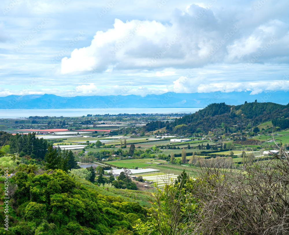 Wall mural Crops line valley floor in South Island