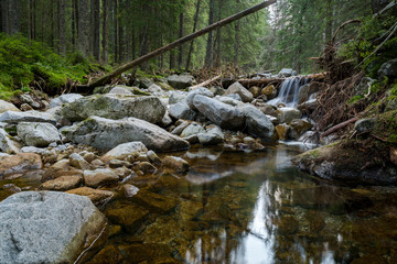 forest nature waterfall