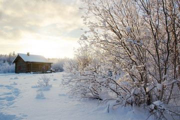 wooden hut in the forest, bush in frost, yellow sun and blue sky