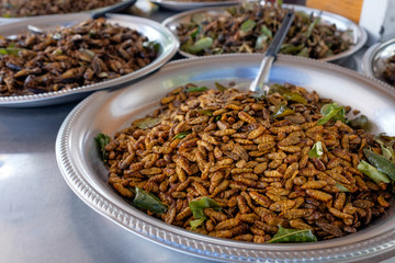 Fired silk worm and insects at a market in Thailand.