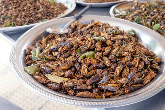 Fired cicadas and insects at a market in Thailand.