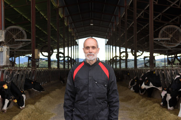 Fototapeta na wymiar portrait of a farmer with cows