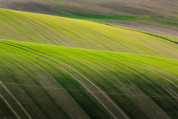 Moravian Tuscany landscape. Fields and meadows in South Morava, Czech republic. Wavy country scenery at sunset.