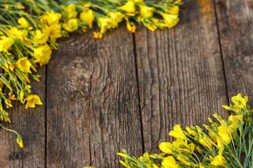 yellow flowers are framed on a wooden background, beautiful spring and festive background.